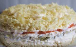 Слоеный салат с курицей. 13 пошаговых рецептов потрясающе вкусных салатов к празднику