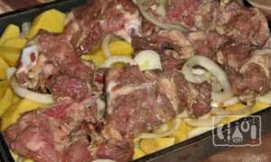 Картофель с копчеными ребрышками в духовке рецепт с фото пошагово