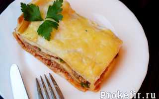 Лазанья — рецепт приготовления в домашних условиях с фото пошагово (+4 рецепта)