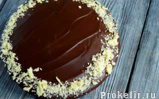 Торт Птичье молоко — рецепт с фото пошагово в домашних условиях (+9 рецептов)