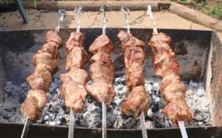 Маринад для шашлыка из свинины — 17 рецептов, чтобы мясо было мягким и сочным