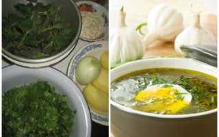 Зеленые щи – весенняя радость и разнообразие вкуса. Как приготовить зеленые щи.