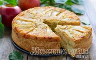 Самые вкусные рецепты шарлотки с яблоками в духовке — очень пышной, мягкой, воздушной