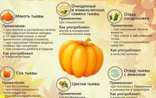 Тыквенная запеканка с творогом в духовке — рецепты