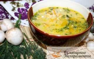 Сырный суп с курицей и грибами — рецепты приготовления