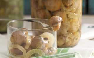 Почему закисли соленые рыжики и что делать в этом случае?