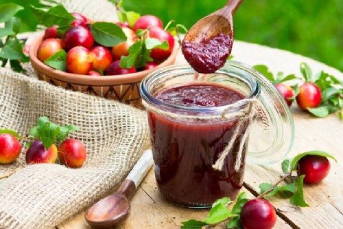 8 рецептов сливового соуса