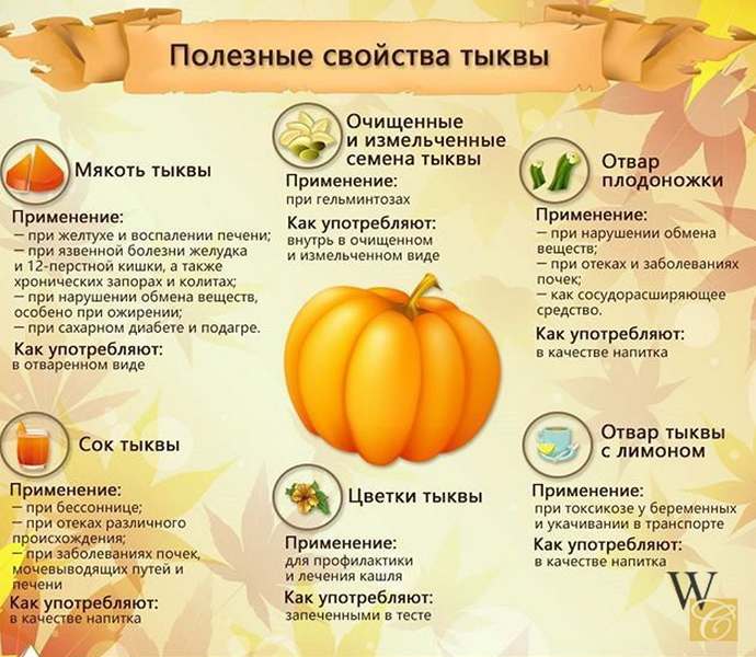 Полезные свойства тыквы