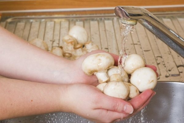 Шампиньоны в микроволновке целиком. Рецепты с фото пошагово