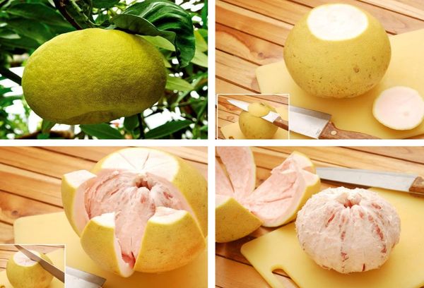 чистка помело