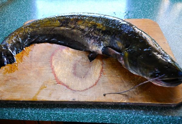 рыба сом на разделочной доске