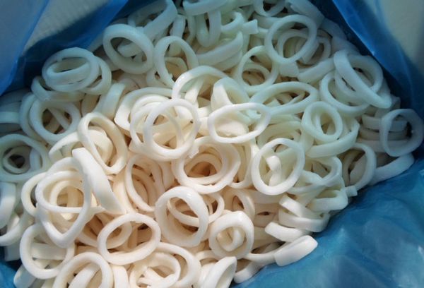 Кольца кальмара