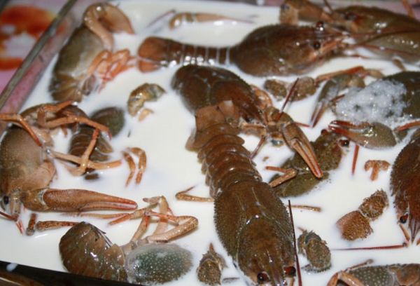 раки в молоке