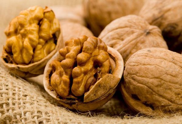 ядро грецкого ореха