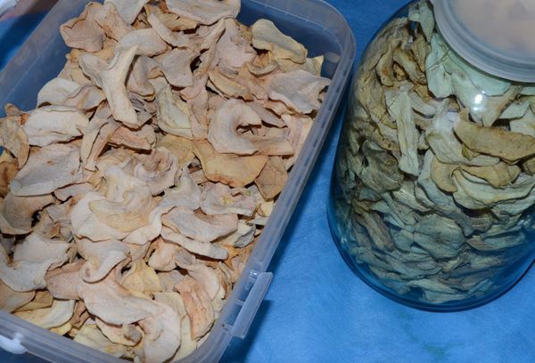 Грибы на зиму