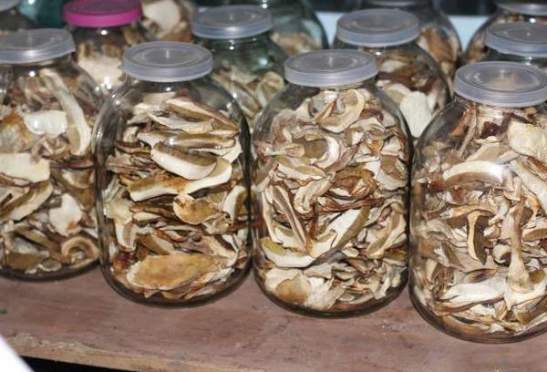 Грибы на зиму в стеклянных банках