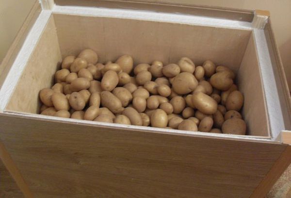 картошка на балконе в ящике