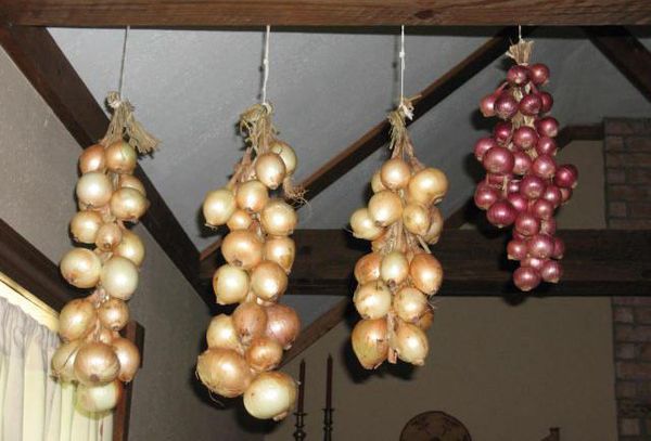 подвешанные луковицы в квартире