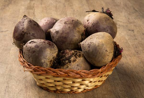 урожай свеклы в корзине