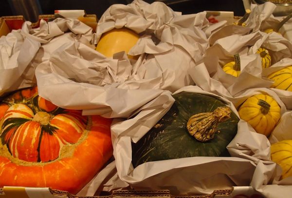 тыквы завернутые в бумагу