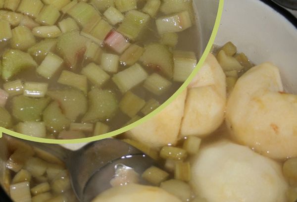 компот из ревня и яблок