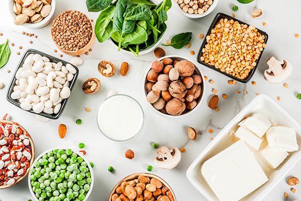 Растительные продукты, богатые белком