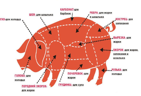 Части свиной туши