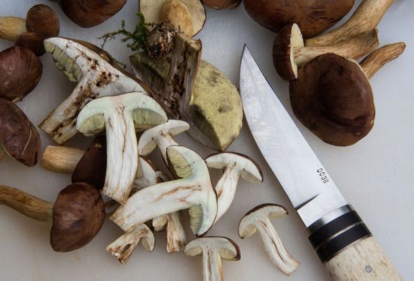 нарезанные грибы