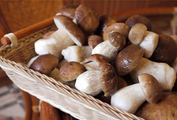 skolko-varit-boroviki-v-supe_2