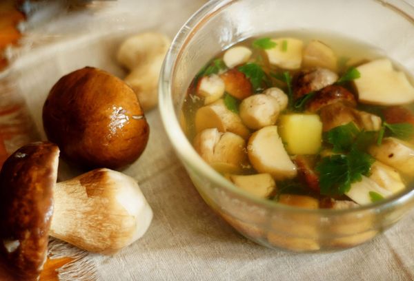 суп из белых грибов