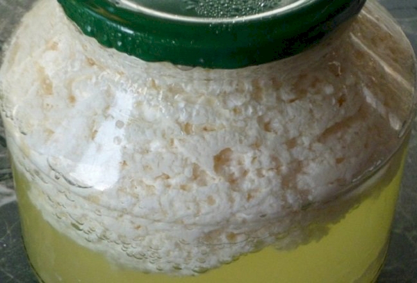 Творог в банке на водяной бане